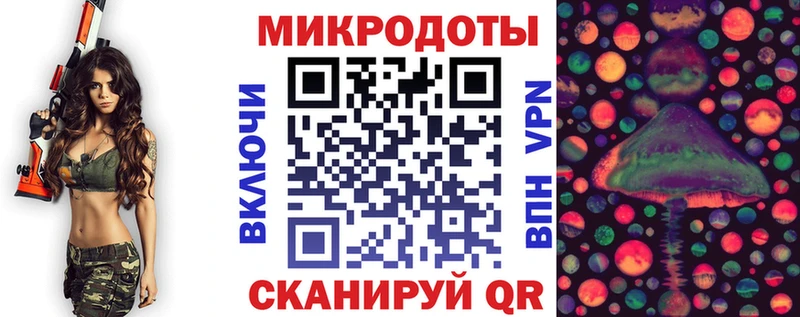 где найти   Яхрома  Псилоцибиновые грибы Cubensis 
